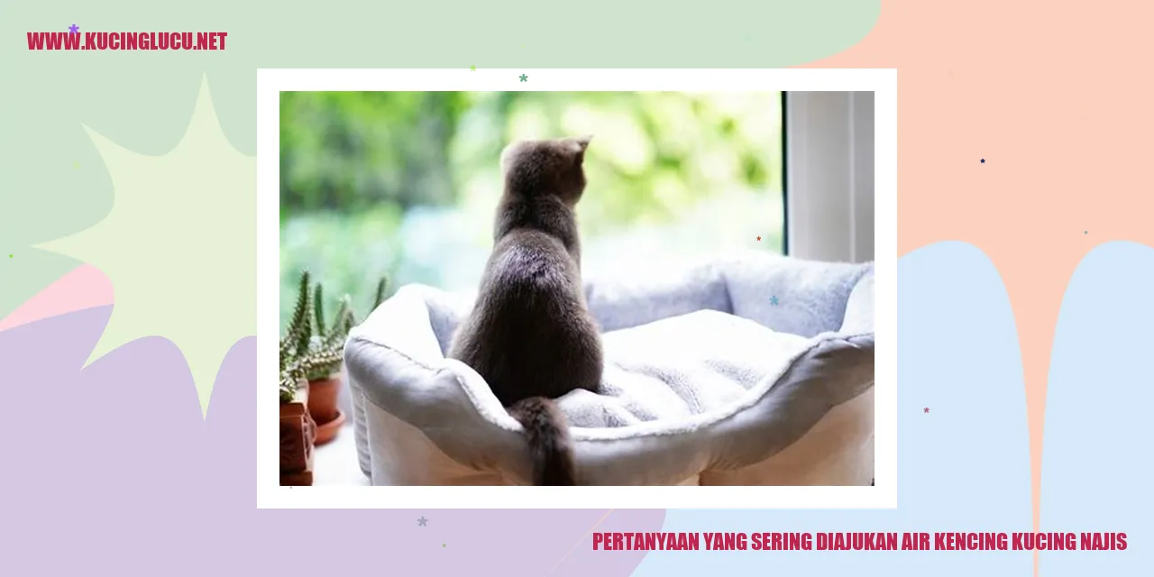 Gambar Kucing yang Mengeluarkan Air Kencing