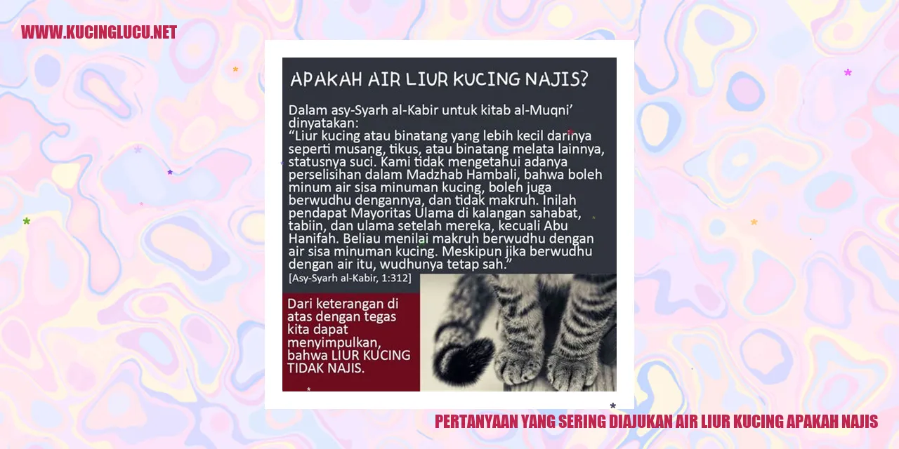 gambar kucing sedang menjilati dirinya
