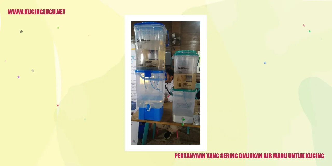 pertanyaan air madu untuk kucing