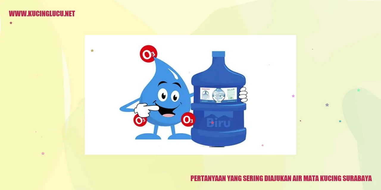 Air Mata Kucing Surabaya