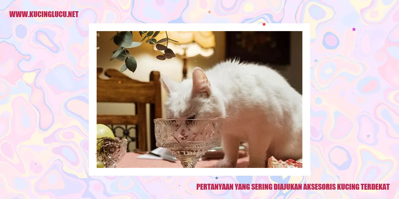 Pertanyaan yang Sering Diajukan tentang Aksesoris Kucing Terdekat