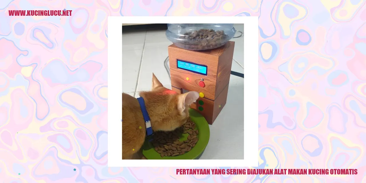 Alat Makan Kucing Otomatis