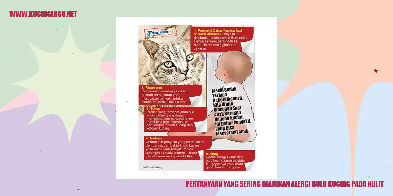 Pertanyaan yang Sering Diajukan alergi bulu kucing pada kulit