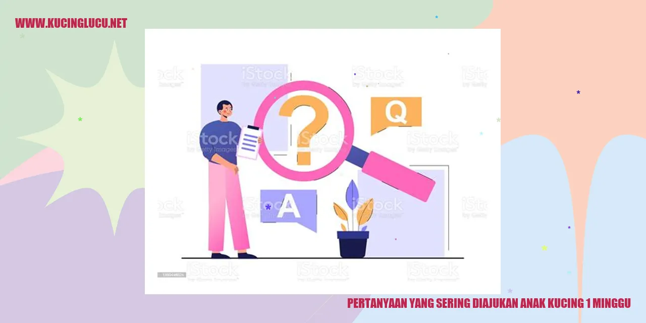 Gambar Anak Kucing