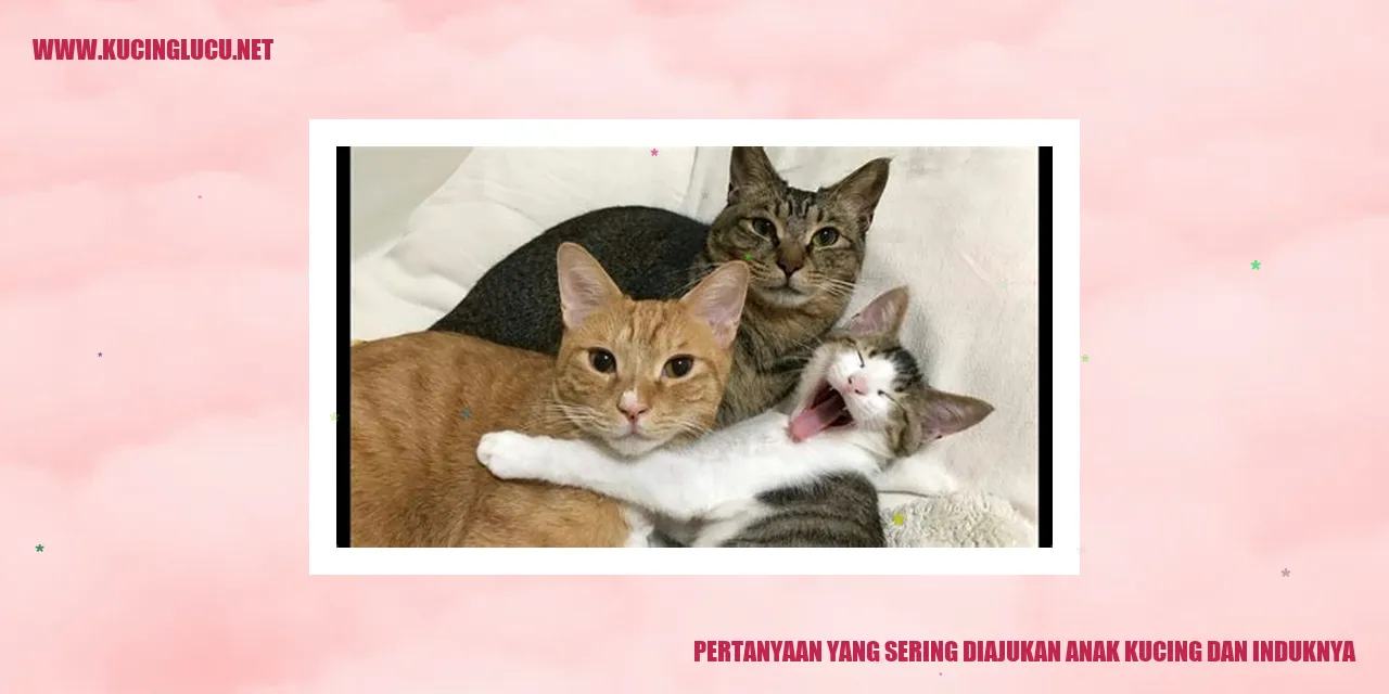 Anak Kucing dan Induknya