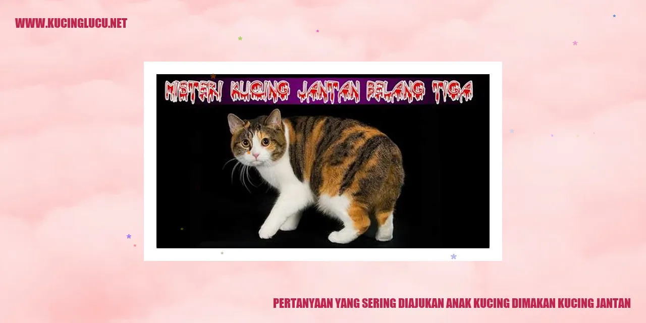 Ilustrasi anak kucing dan kucing jantan