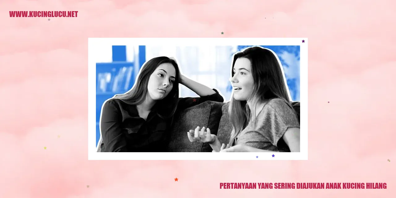 Gambar anak kucing yang hilang