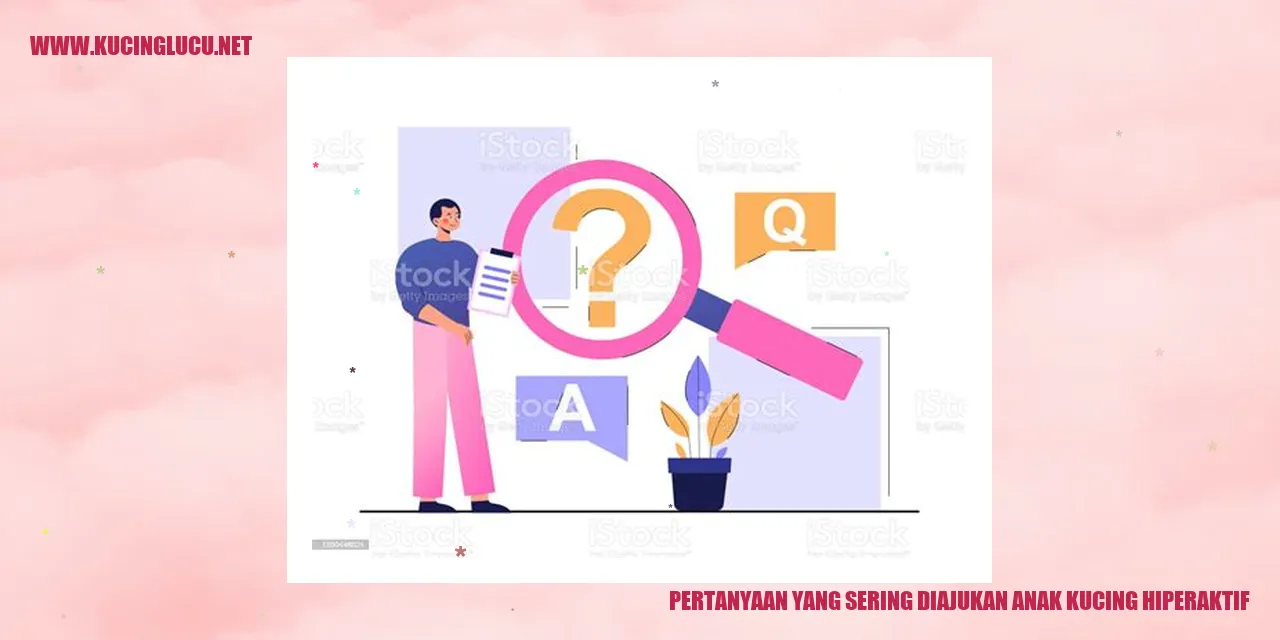 Pertanyaan yang Sering Diajukan anak kucing hiperaktif