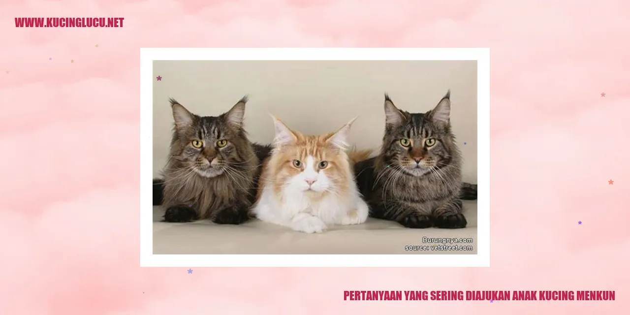 Anak Kucing Menkun