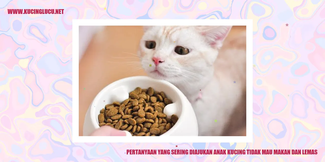 Anak Kucing Tidak Mau Makan dan Lemas
