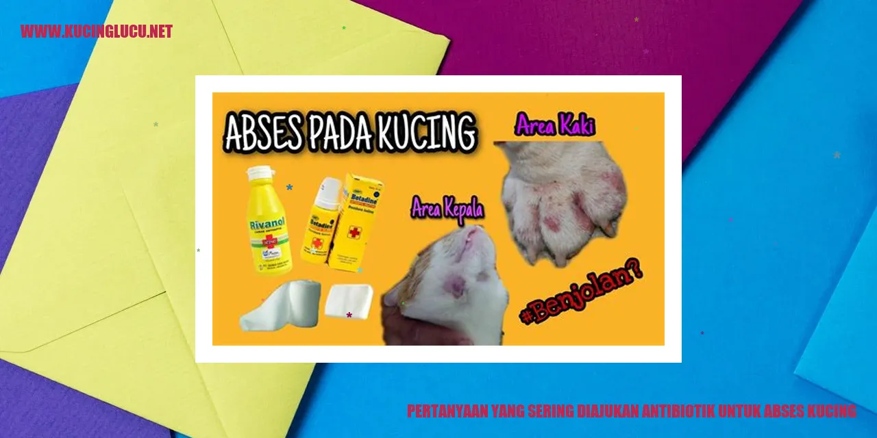 Pertanyaan yang Sering Diajukan antibiotik untuk abses kucing
