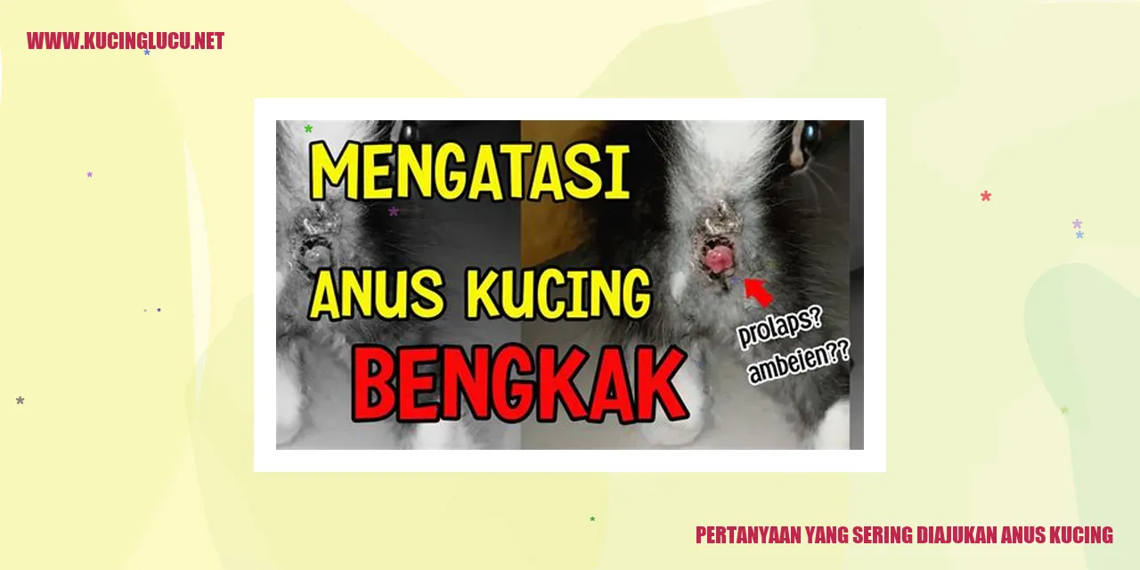 Gambar Kucing