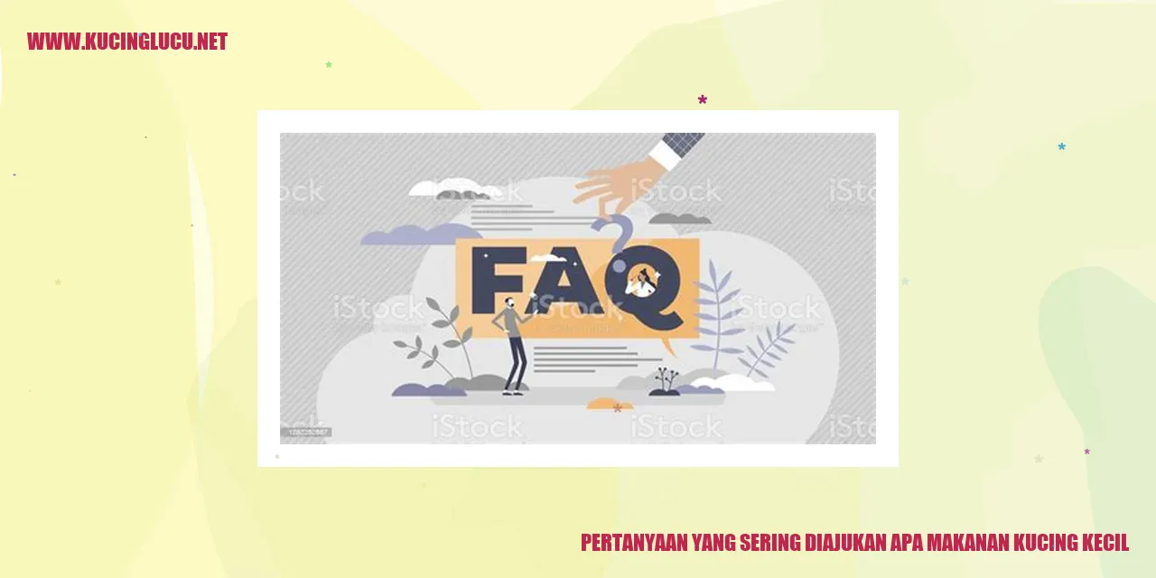 Pertanyaan yang Sering Diajukan tentang Makanan Kucing Kecil