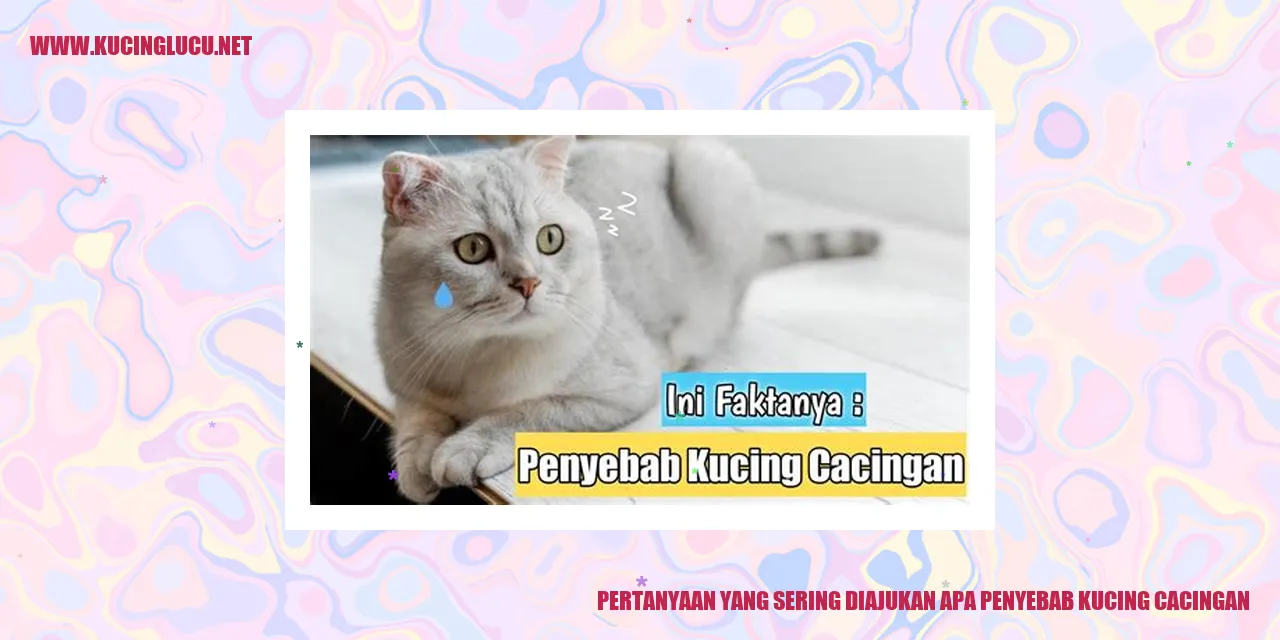 Ilustrasi kucing yang sedang cacingan
