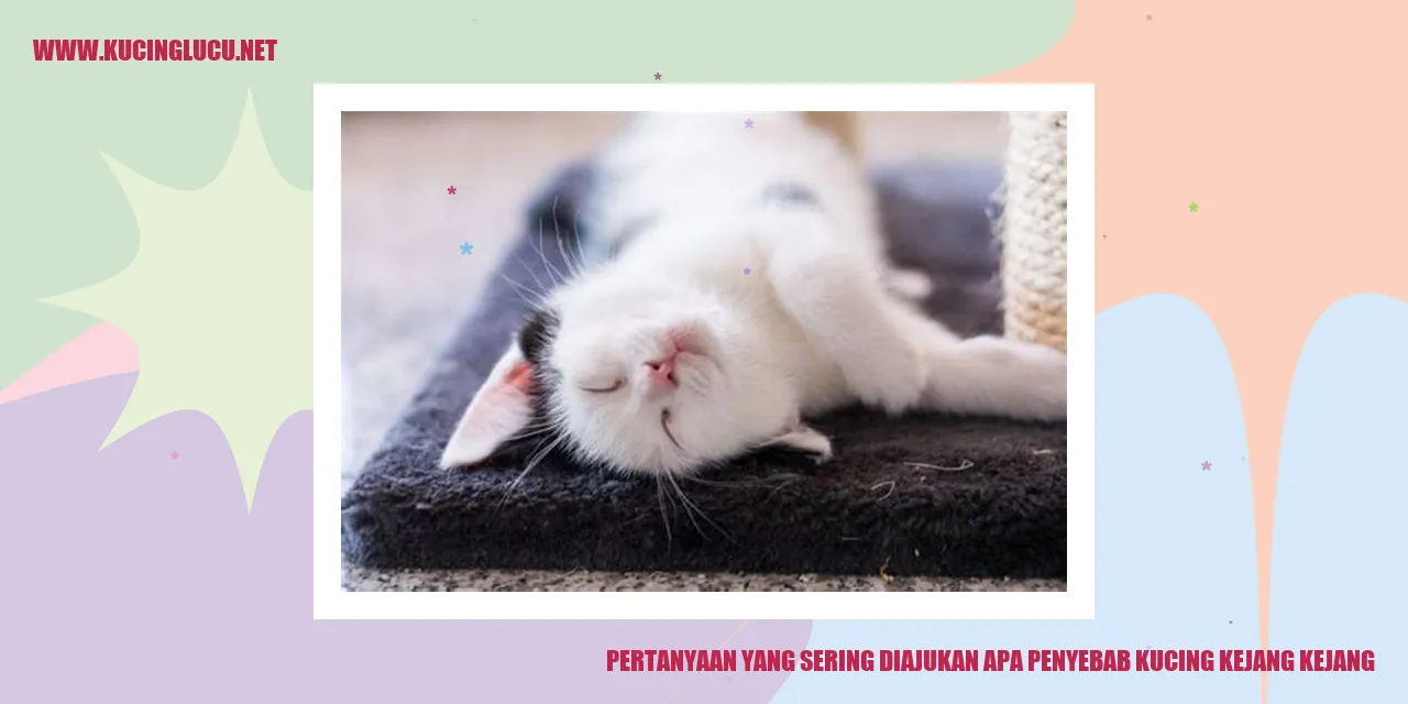 Kucing Mengalami Kejang-kejang