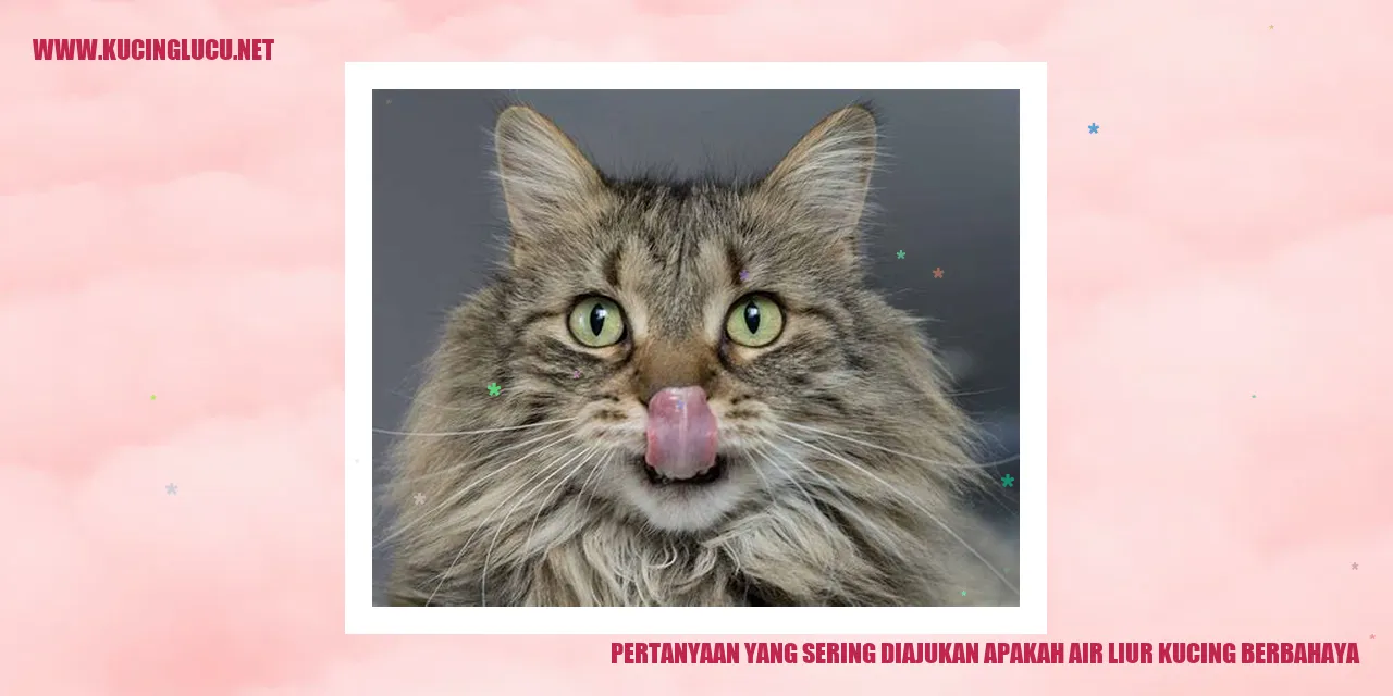 Air Liur Kucing