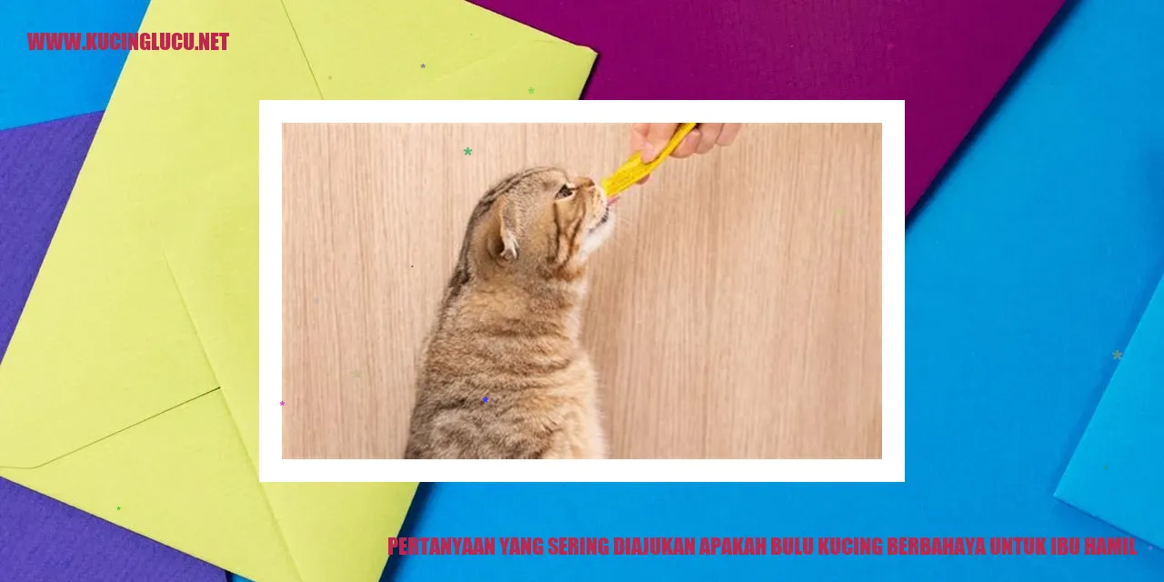 Pertanyaan yang Sering Diajukan: Apakah Bulu Kucing Berbahaya untuk Ibu Hamil?