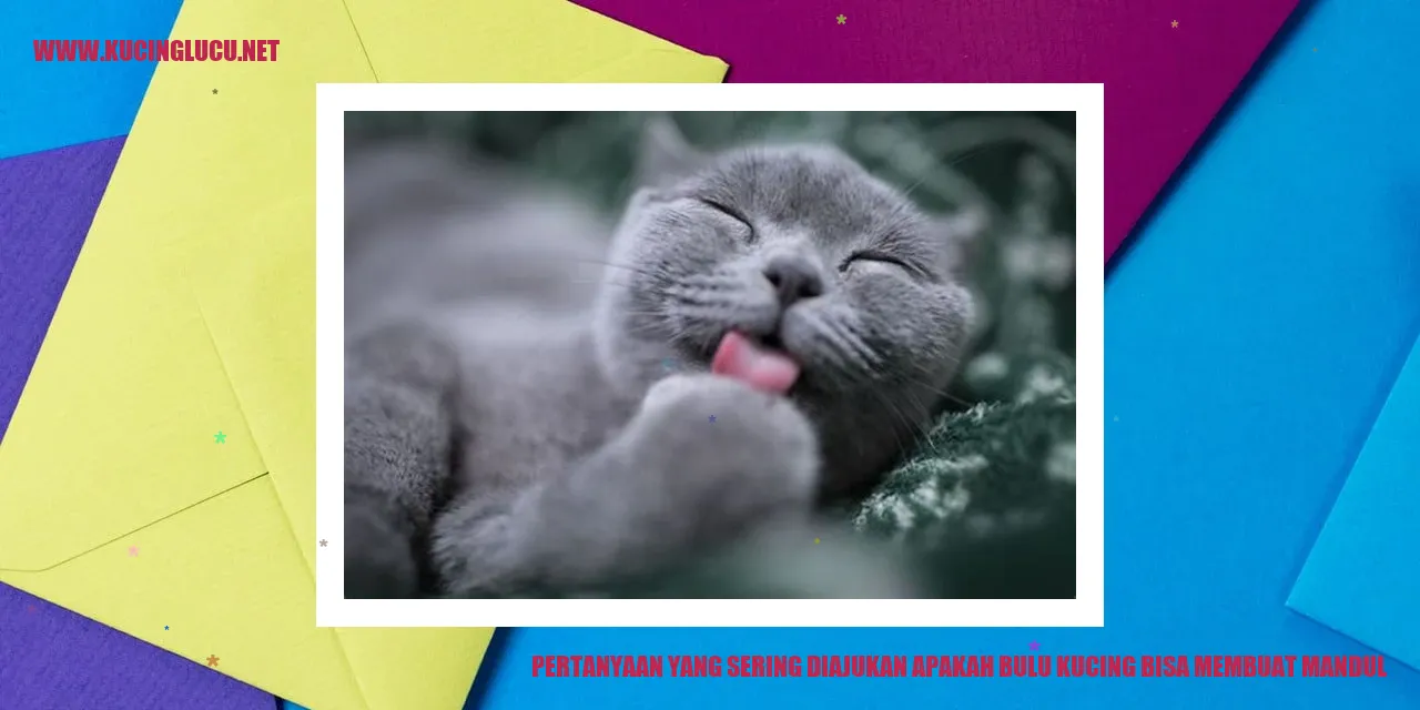 Gambar: Pertanyaan yang Sering Diajukan apakah bulu kucing bisa membuat mandul
