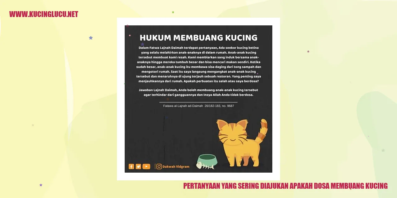 Gambar seekor kucing
