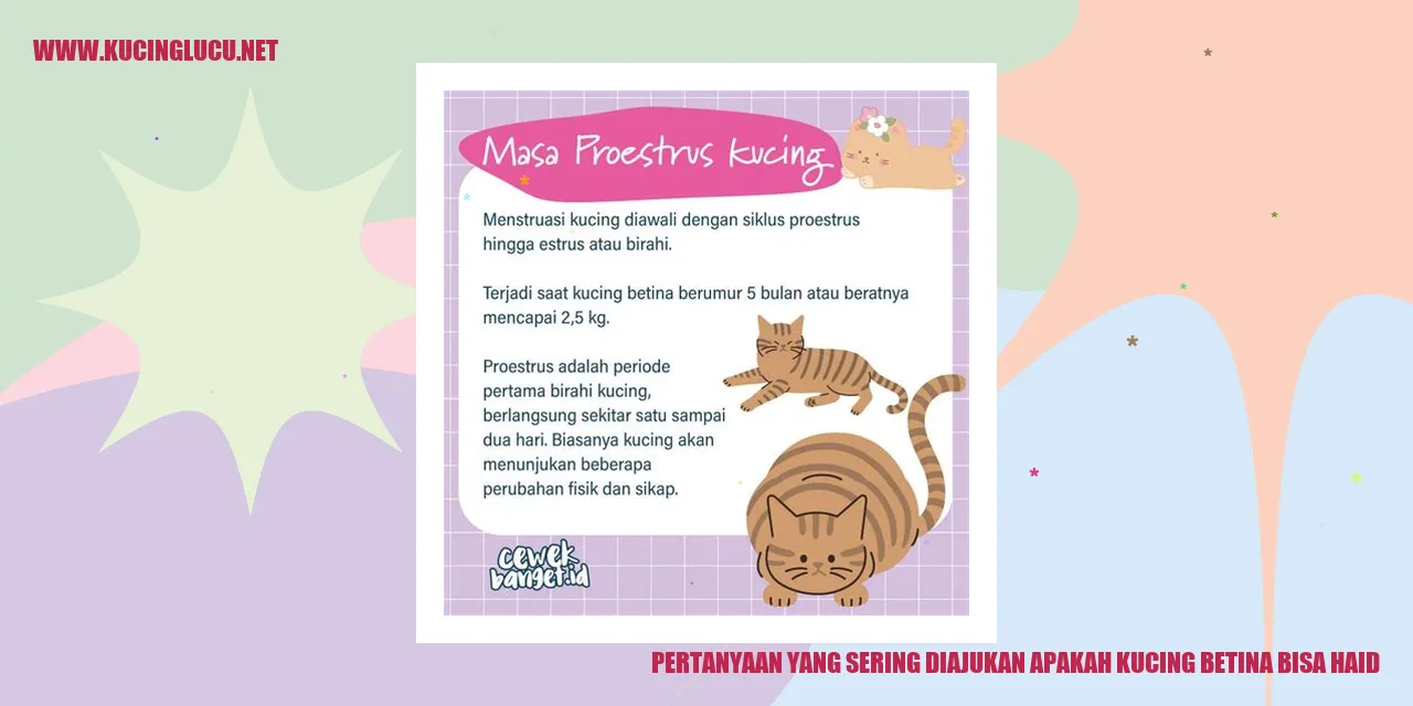 Kucing Berfikir