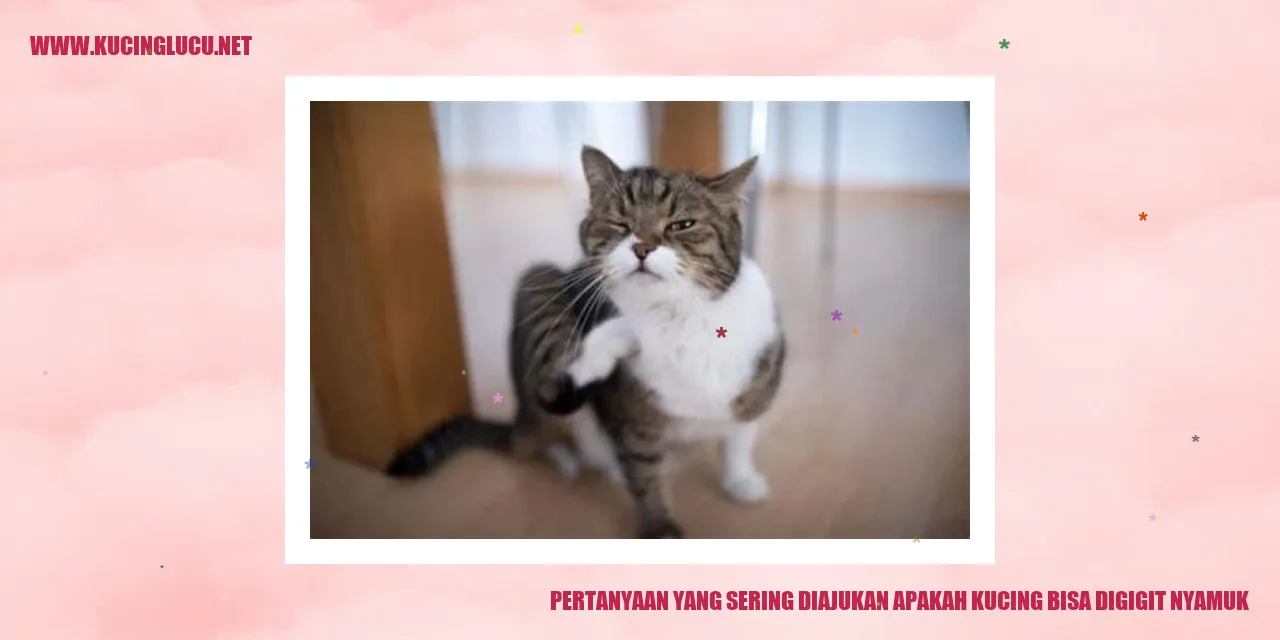 nyamuk