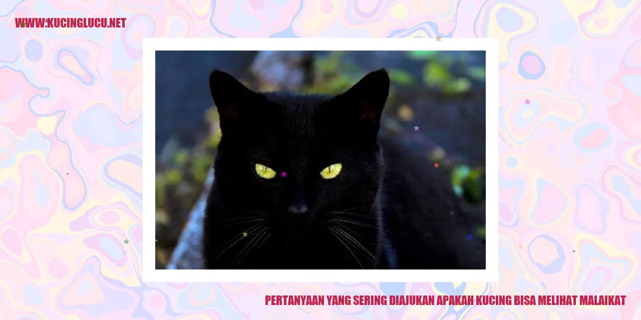 Pertanyaan yang Sering Diajukan: Apakah Kucing Bisa Melihat Malaikat?