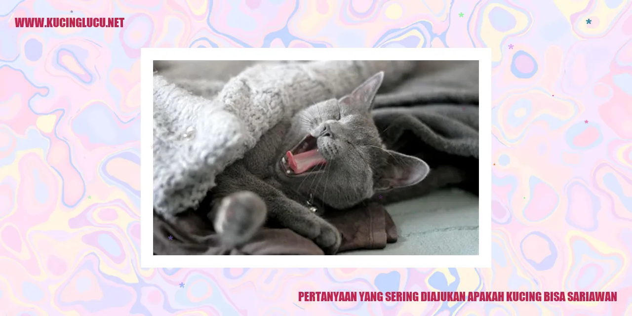 Gambar Kucing