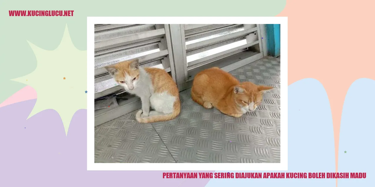 Ilustrasi Kucing
