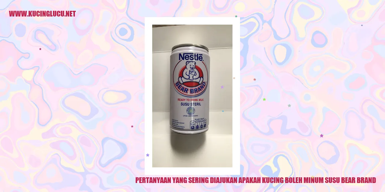Saran Minum Susu Kucing
