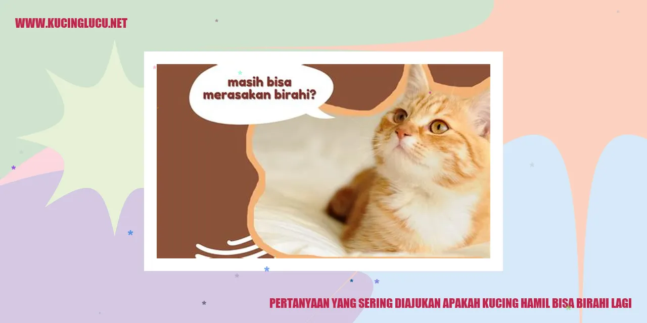 Kucing Hamil