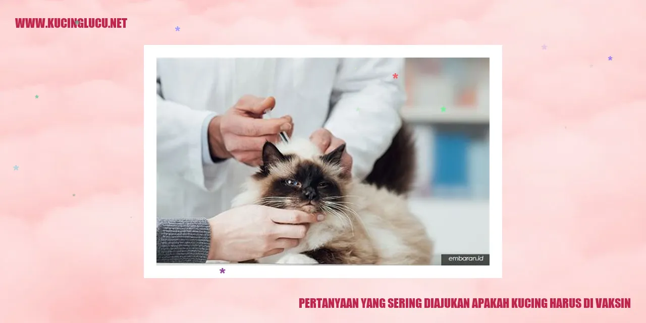 Kucing di vaksin