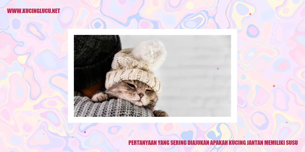 Apakah Kucing Jantan Memiliki Susu?