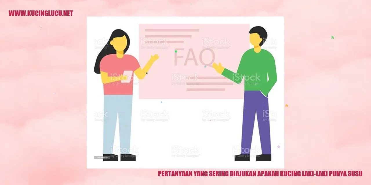 Gambar Kucing Jantan