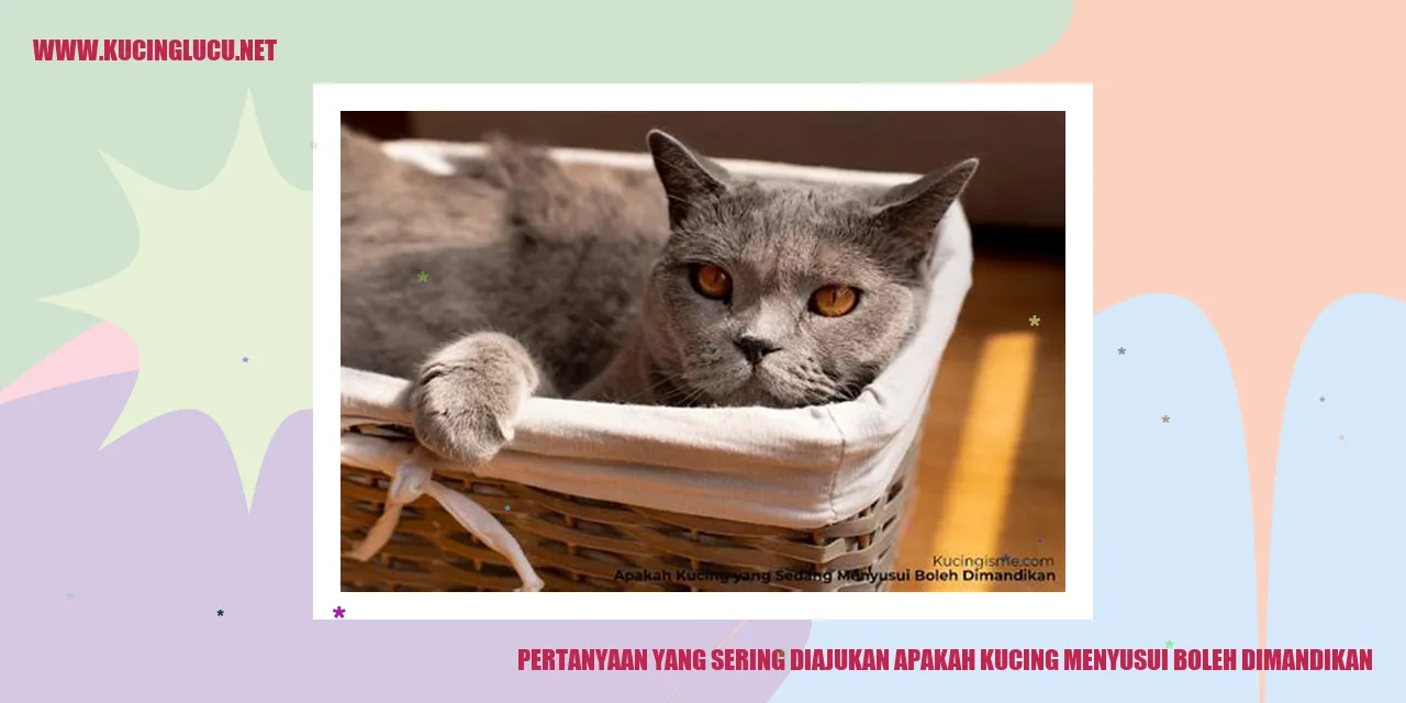 Kucing di dalam air
