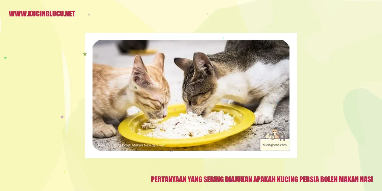 Gambar Kucing Persia