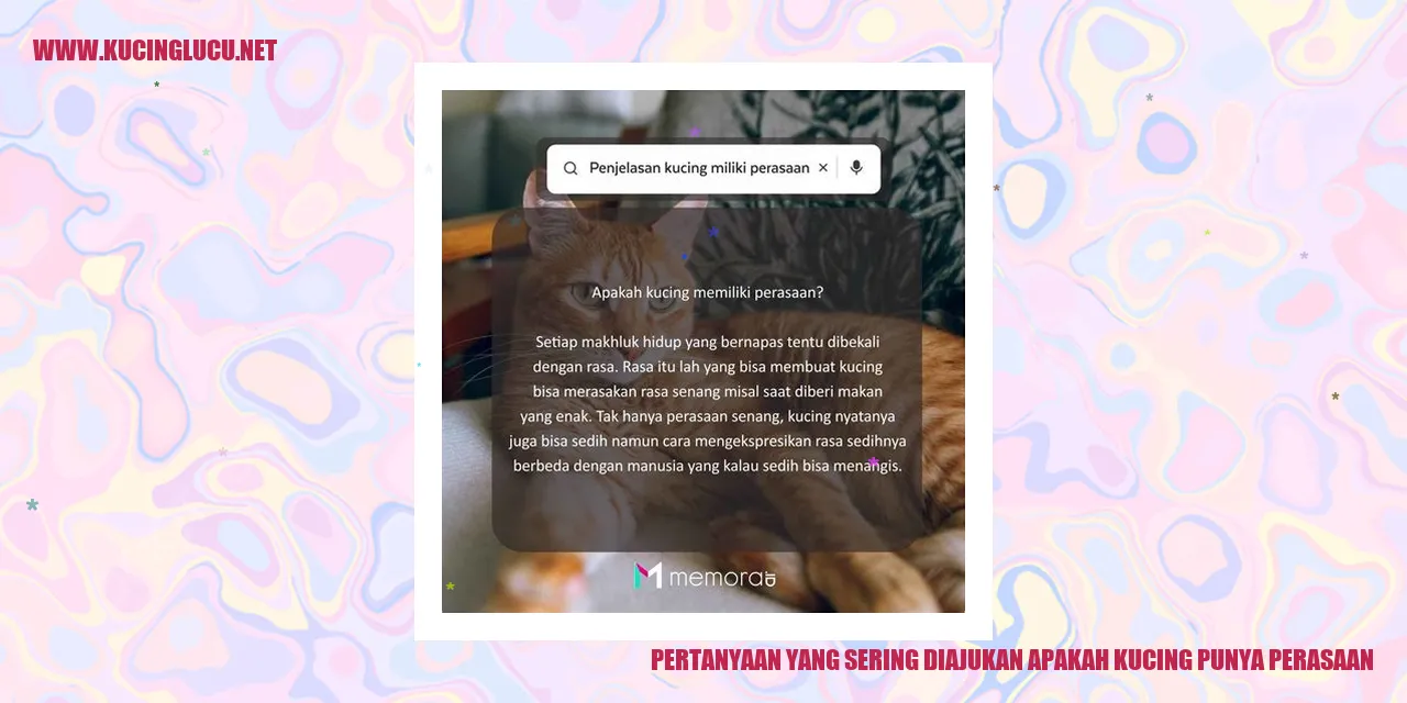 gambar kucing yang menggemaskan