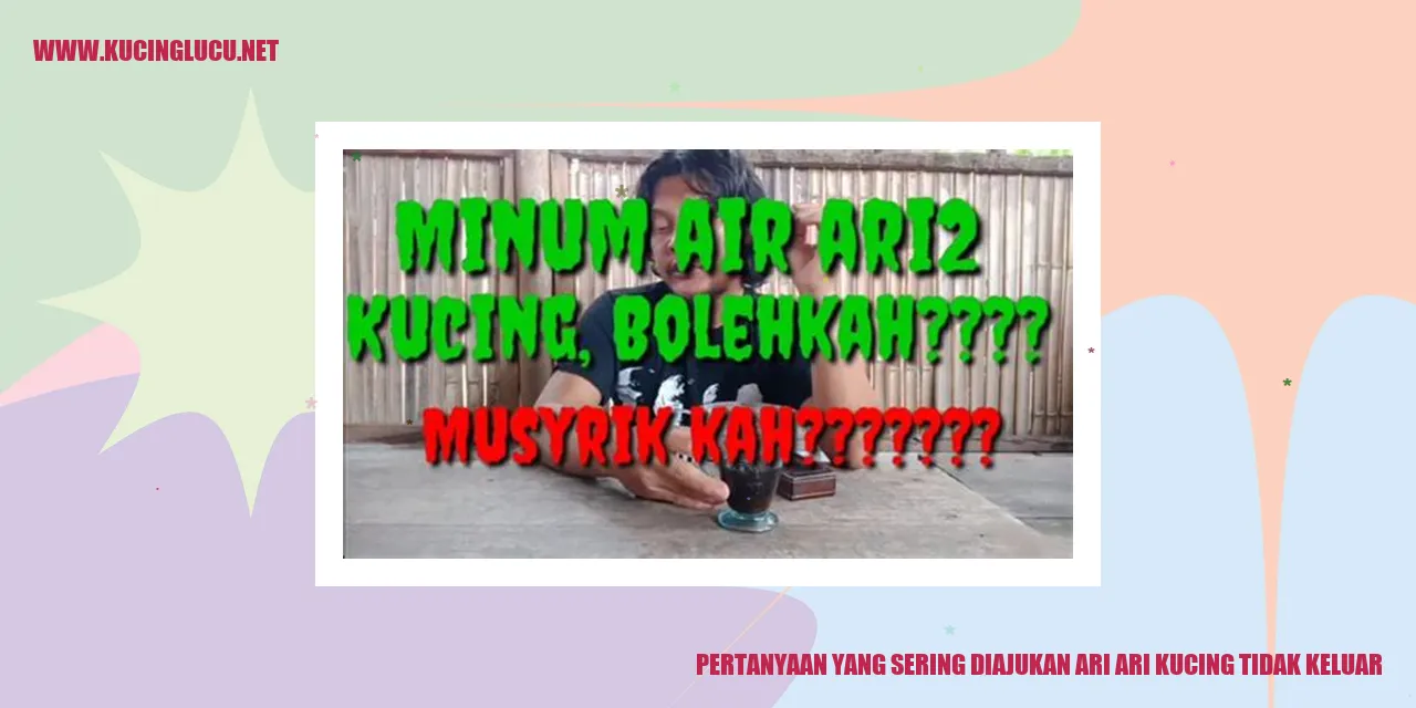 Pertanyaan yang Sering Ditanyakan Mengenai Kucing yang Enggan Keluar