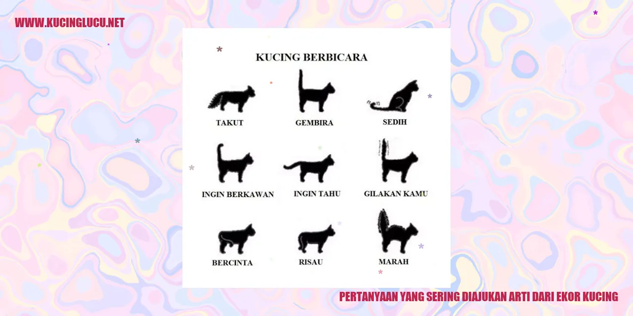 gambar kucing