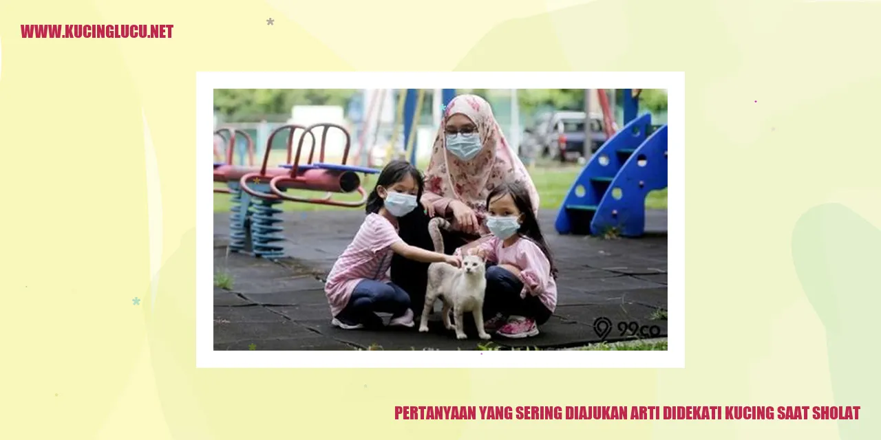 Kucing saat Sholat