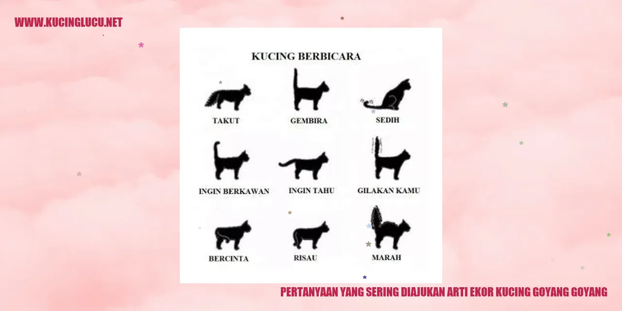 Gambar kucing goyang goyang