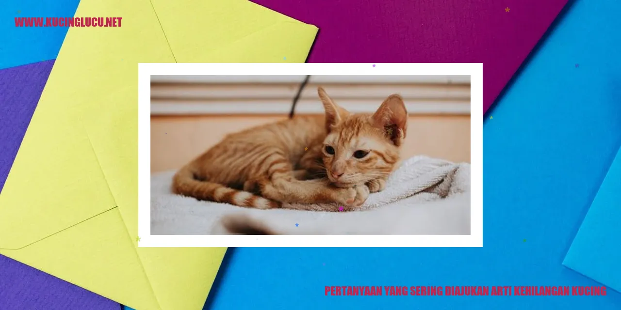 Gambar Kucing yang Hilang