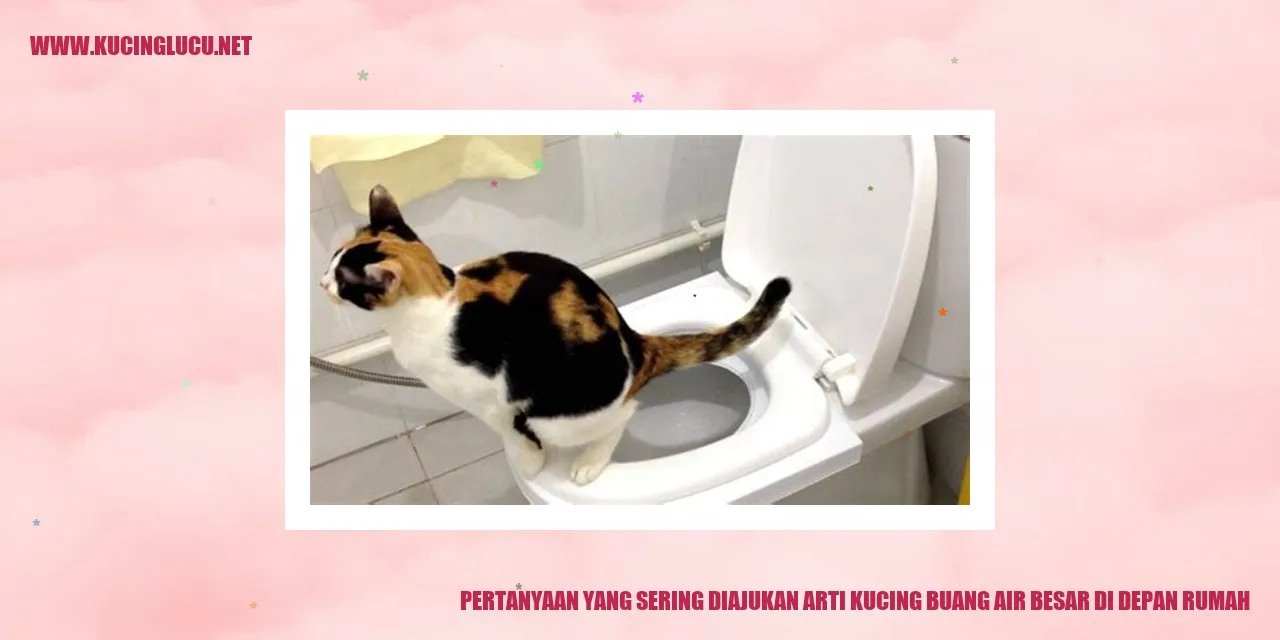 Kucing Buang Air Besar di Depan Rumah