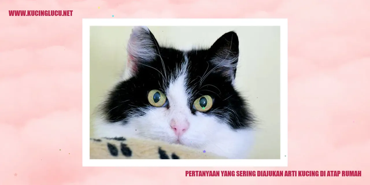Kucing di Atap Rumah