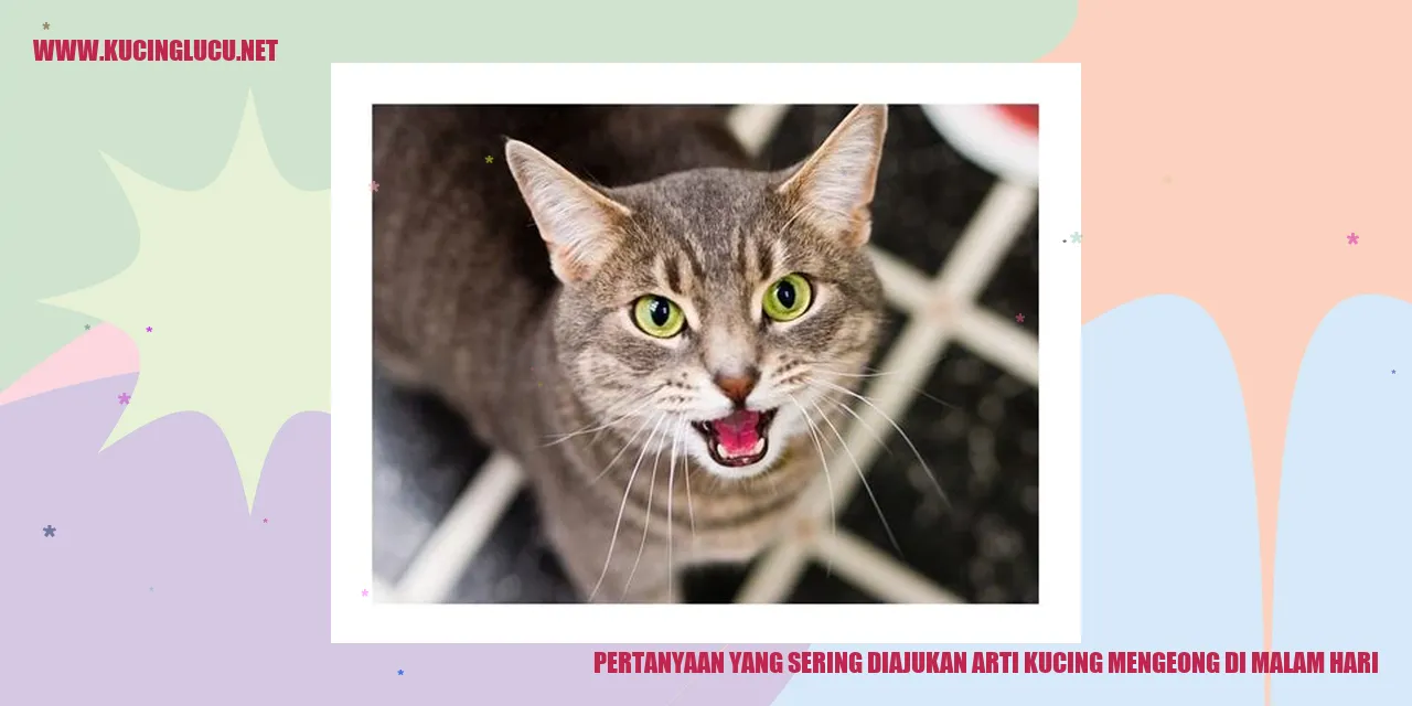 Kucing Mengeong di Malam Hari