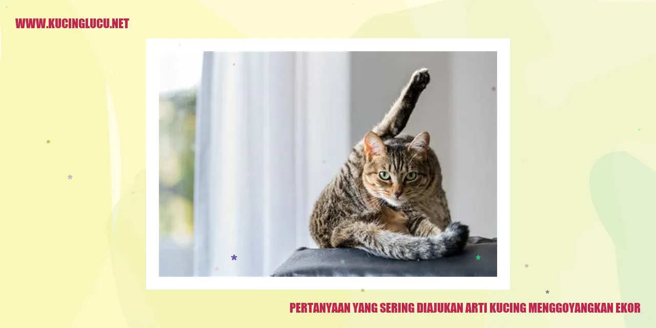 Arti Kucing Menggoyangkan Ekor