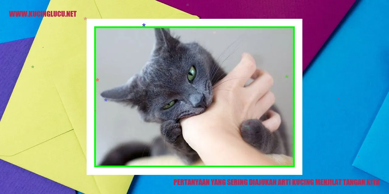 Arti Kucing Menjilat Tangan Kita