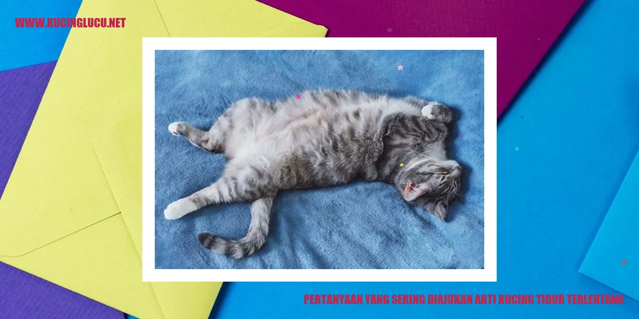 Arti Kucing Tidur Terlentang
