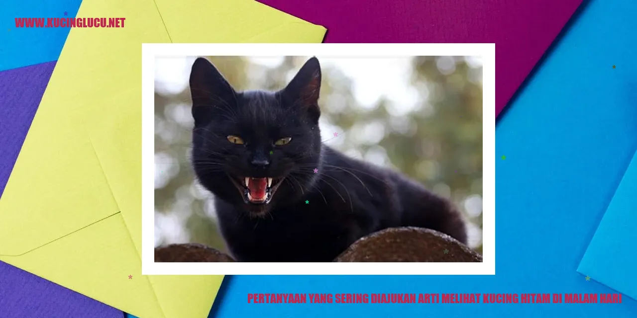 Gambar Seekor Kucing Hitam di Malam Hari