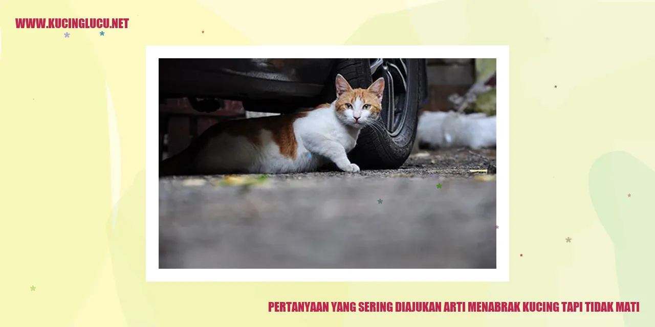 Ilustrasi Menabrak Kucing
