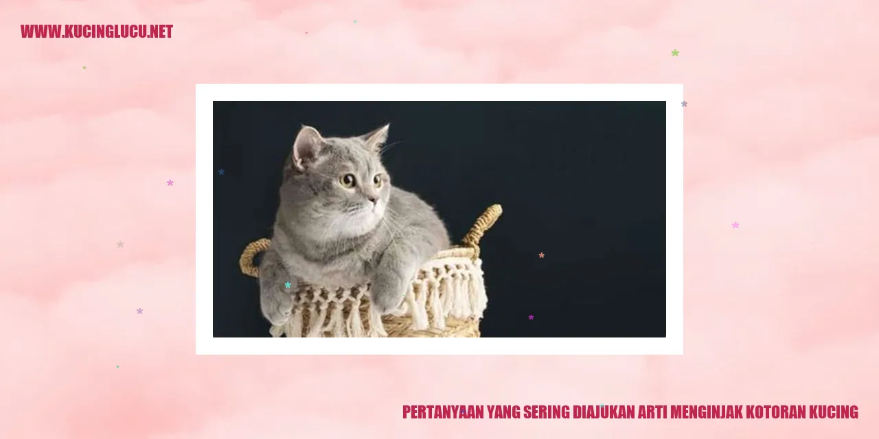 Gambar Kucing